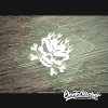Flaming skull decal-2