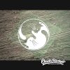 Tai Chi cat Ying Yang Decal-3